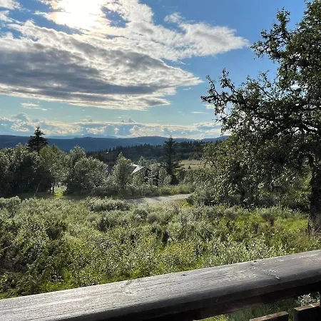 度假居 Elveseter - Log With An Amazing View Venabygd