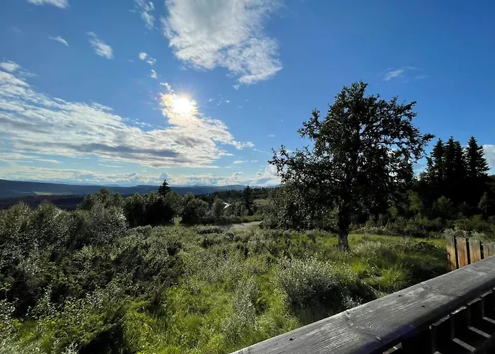 Elveseter - Log With An Amazing View Venabygd