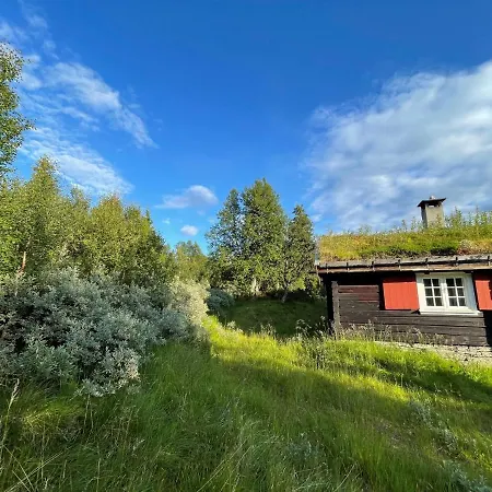 Elveseter - Log With An Amazing View *